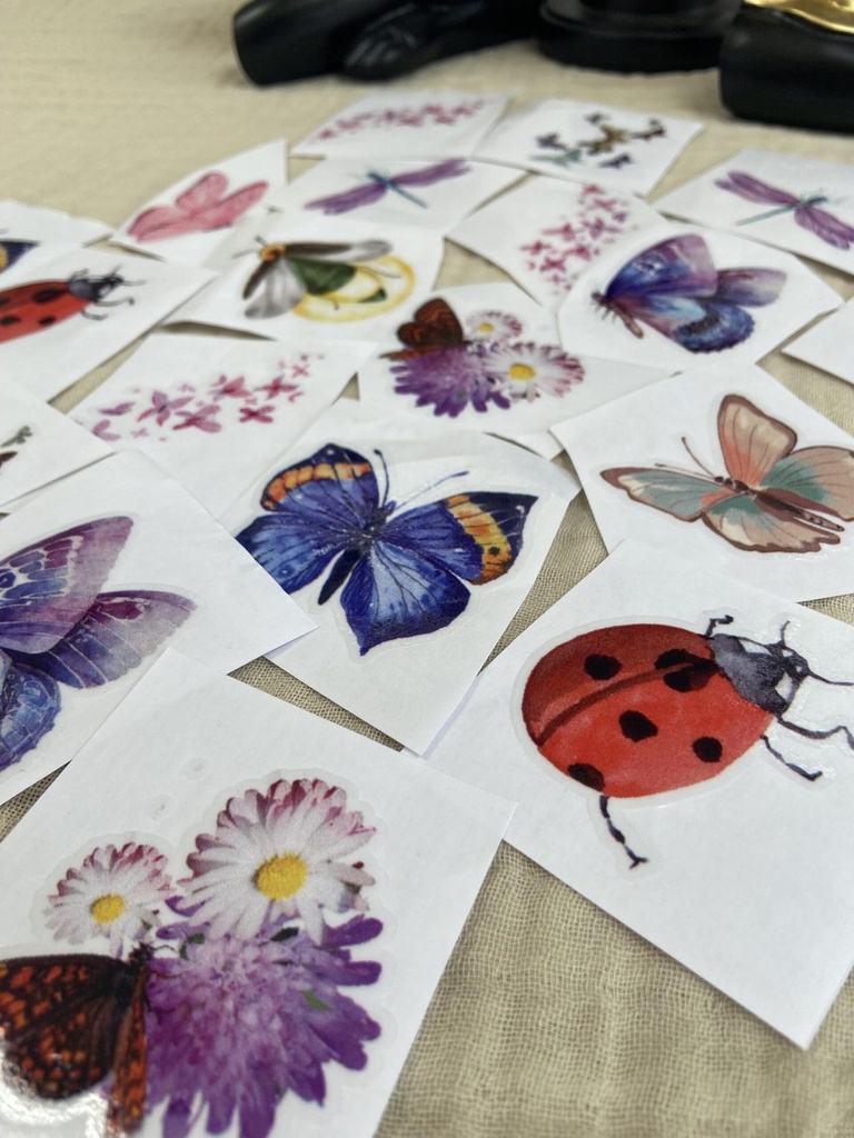 Butterflies Stickers Pack - ستيكرز الفراشات