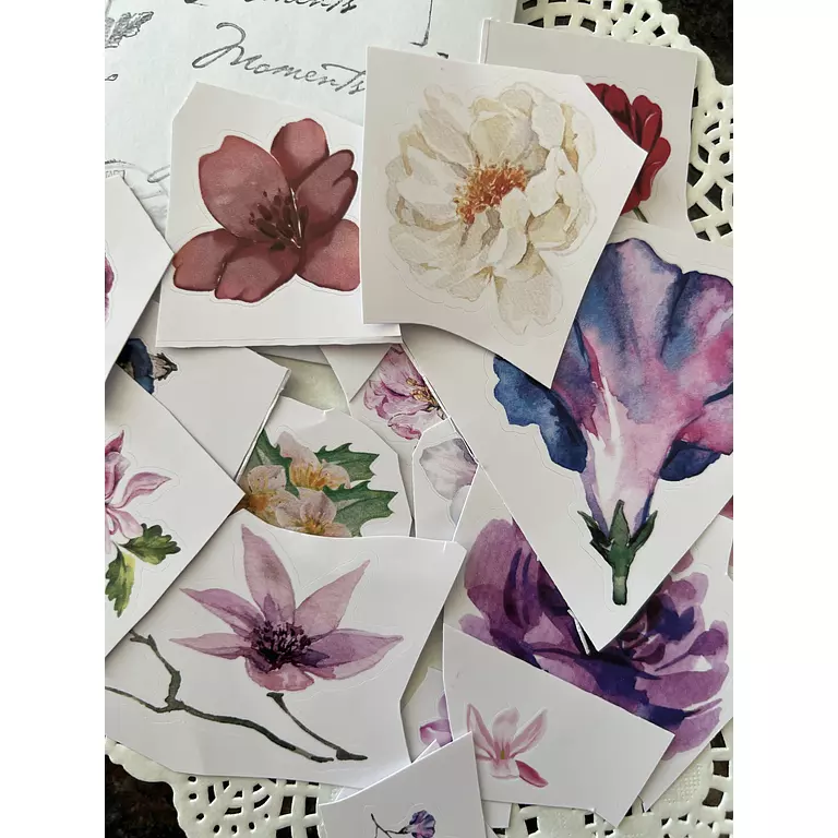 Floral Stickers Pack - ستيكرز زهور
